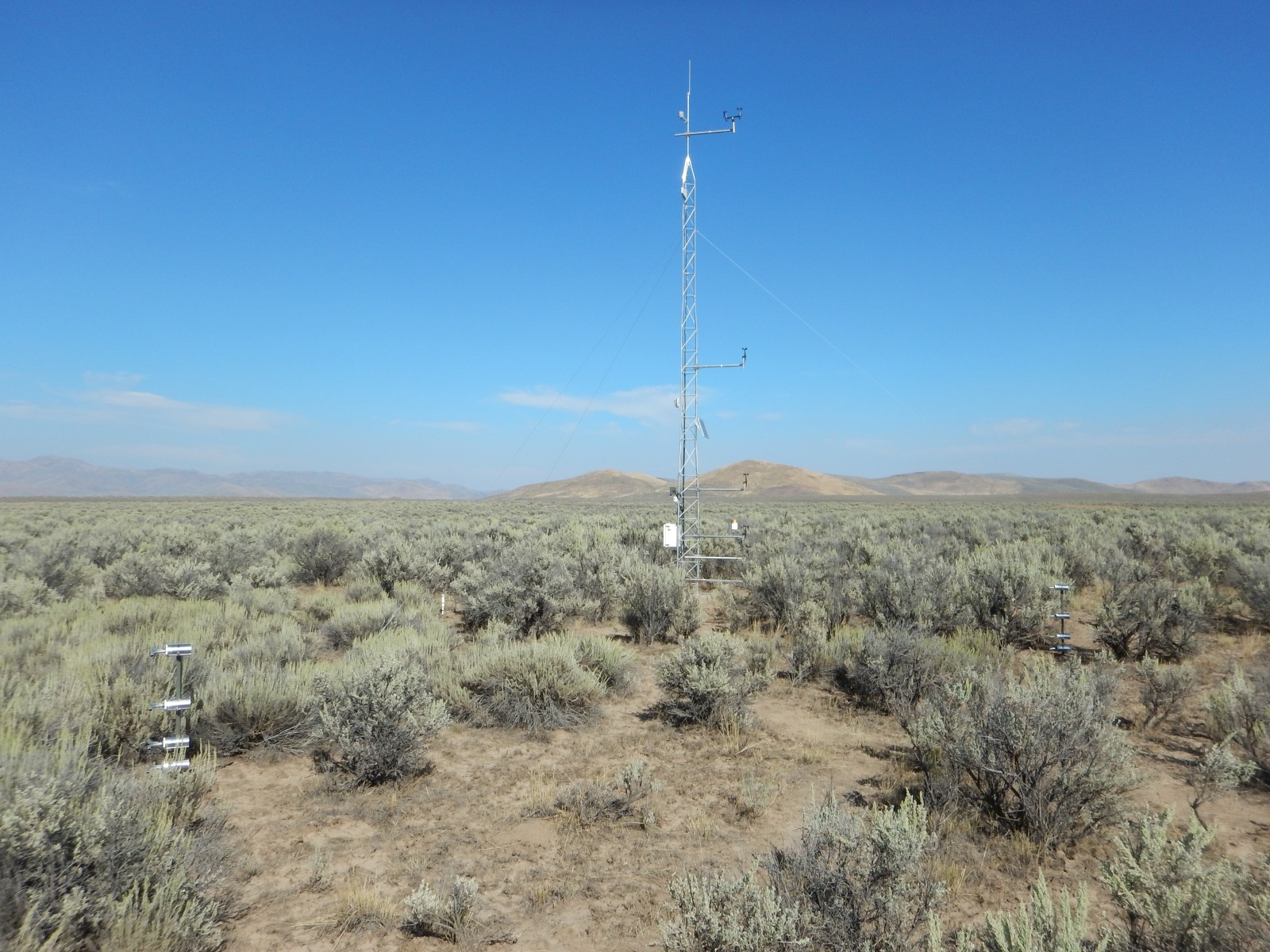 Photo of the Bellevue (BLM) Network site meteorological tower.