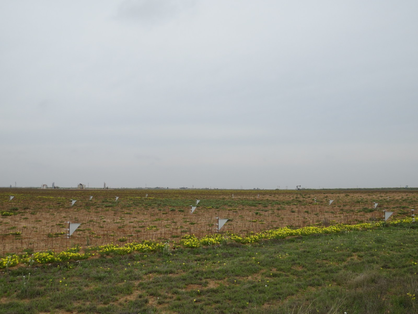 MWAC sediment samplers located in the cotton field.