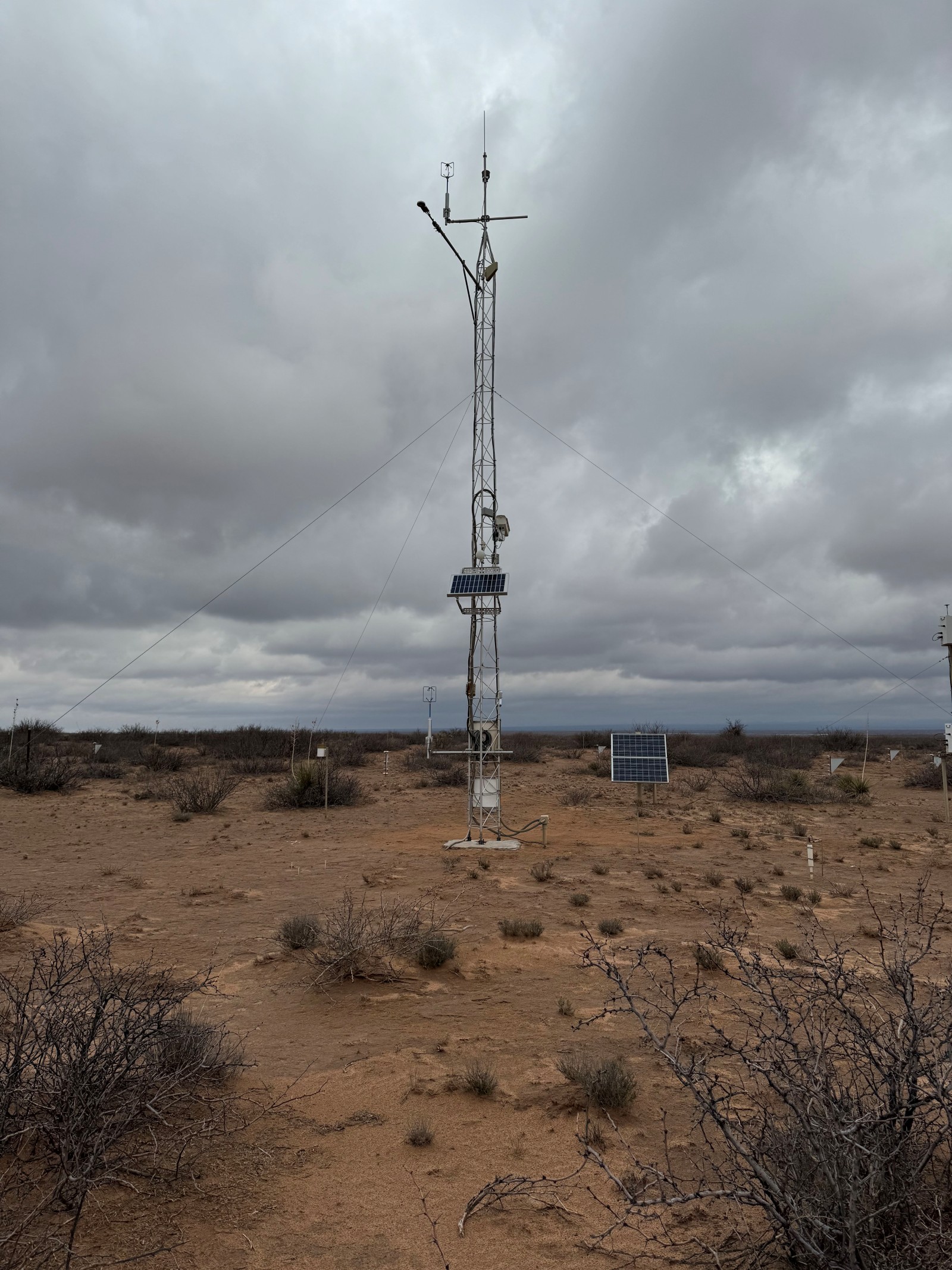 Photo of the Jornada Experimental Range (LTAR) Network site showing meteorological tower