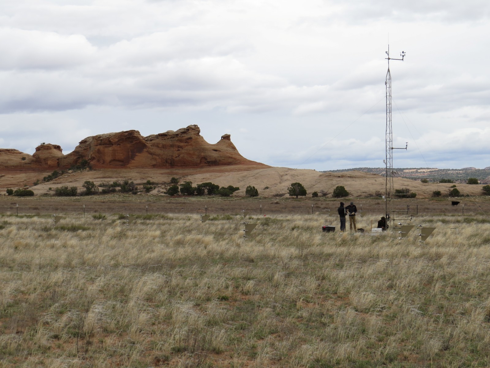 Photo of the Moab (BLM/USGS) Network site near Canyonlands, Utah, showing installation of the meteorological tower.