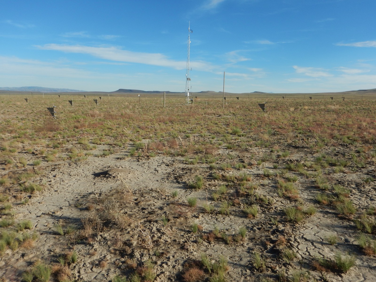 Photo of the Red Hills (ARS) Network site.