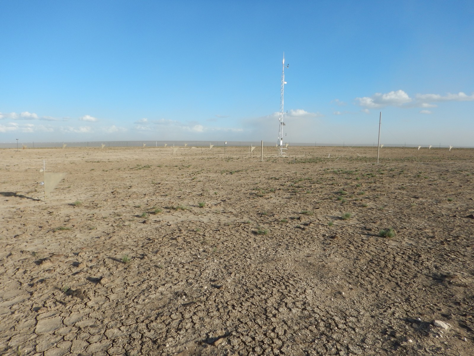 Photo of the Twin Valley (ARS) Network site.