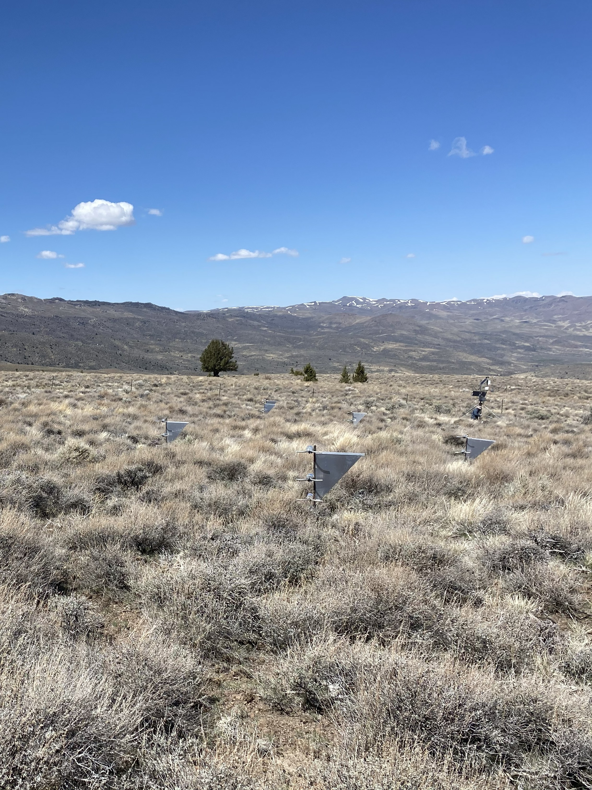 Photo of the Lower Sheep (ARS) Network site.