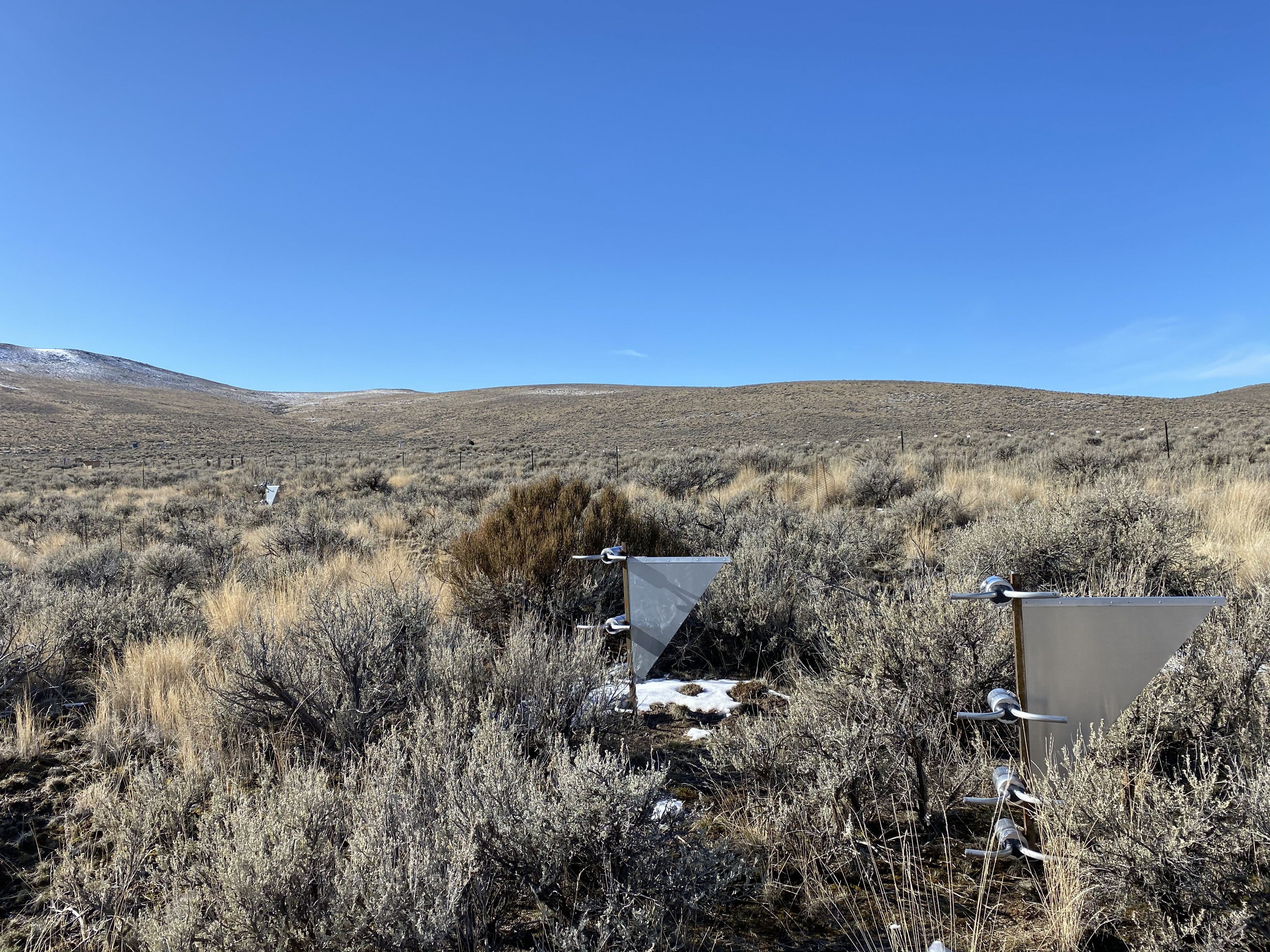 Photo of the Nancy Gulch (ARS) Network site.